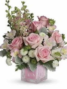 c3738d 328598a548f94753aa231b0a7ddfbf77mv2