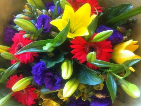 c3738d 522aa79ec4cd4e16b9a16fec27305a36mv2 1