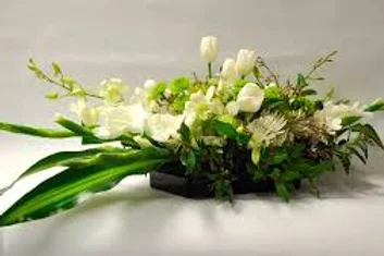 c3738d 58c1bbb8d19946de9c25568e00402194mv2