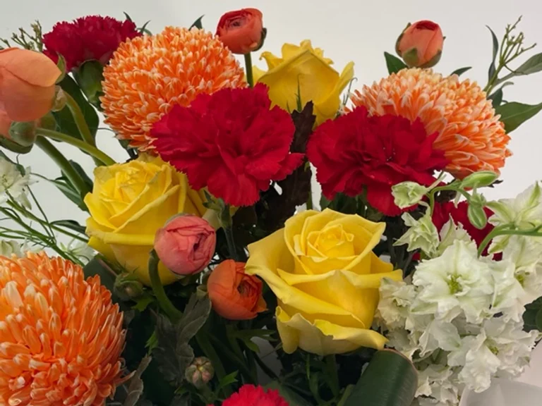 c3738d 6bde4b19a6174069aa769360f4fced2dmv2 1