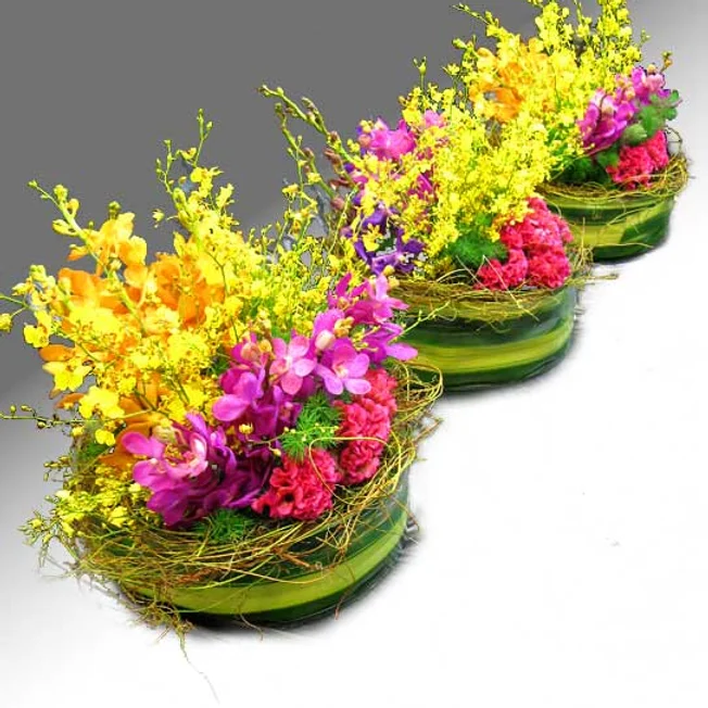 Colourful in Glass 1 1 c3738d 6e1d204850a842ca8267dc34597d1ec7mv2