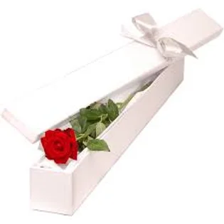 c3738d 72e93182812b4bde9776ecb08ab06cd5mv2