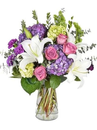 c3738d 8581b5a9e3cd412f87a7daa82aeeb104mv2