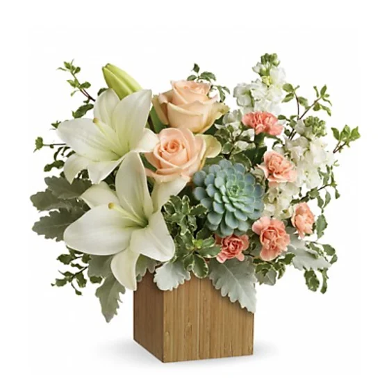 c3738d 92f8b365d55a444cb1a1192f1134c515mv2