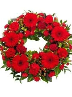 c3738d 9305d5656e114212aa85bc0d2a4df204mv2