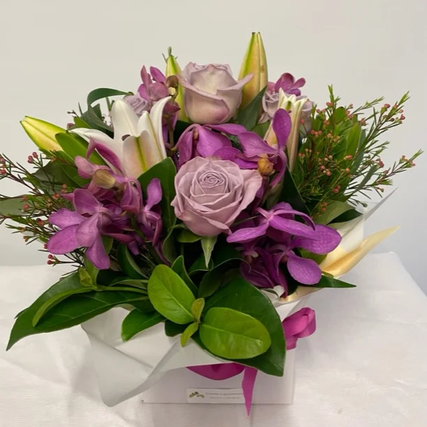 c3738d 995e39a1fd764c10baf78714781648aamv2