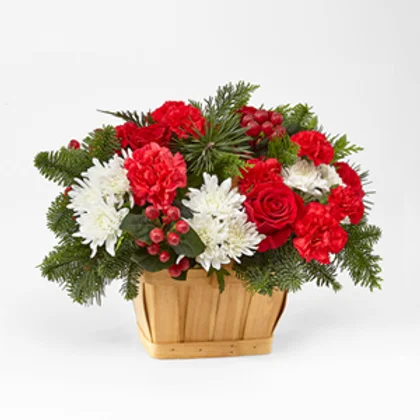 c3738d a4ecba86bfaa44ae86c862e0f9fa4855mv2