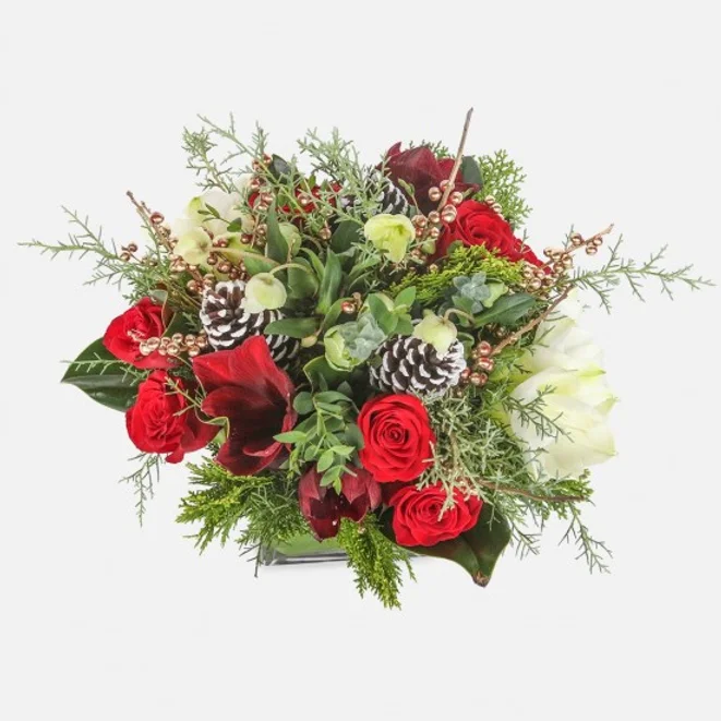 c3738d dae16882247b4fd2aca51fc3b1c0dd4emv2