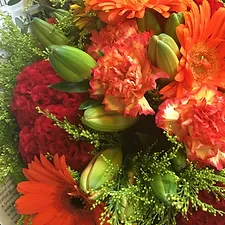 c3738d e1bbbcc7682b405dba0bc8284e96d711mv2