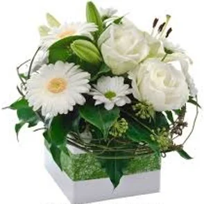 c3738d ffb29f844bcc40ea85d268150aeeac28mv2